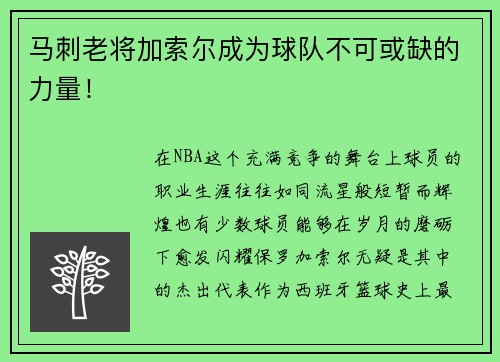 马刺老将加索尔成为球队不可或缺的力量！